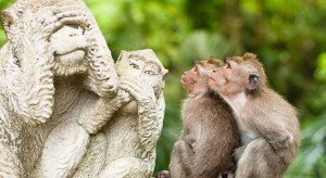 Aapjes kijken! Bezoek Monkey Forest in Ubud
