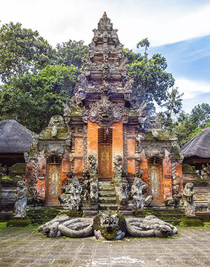 Tempels Monkey Forest Ubud