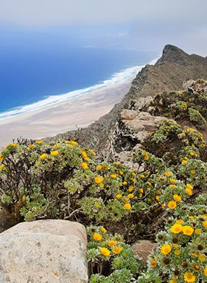Mooiste uitzichtpunten Fuerteventura: Pico de la Zarza