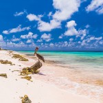 Stranden Bonaire