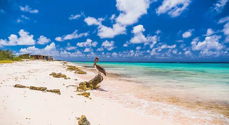 Stranden Bonaire