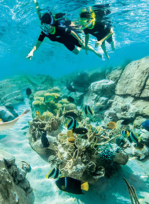 beste attractieparken ter wereld: Discovery cove