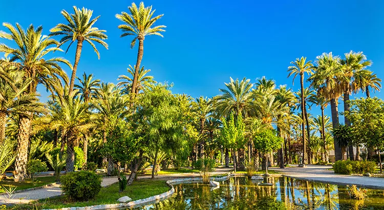 Zon, cultuur én meer! 8x doen aan de Costa Blanca