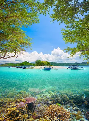 Nieuw aanbod: Lombok, Indonesië