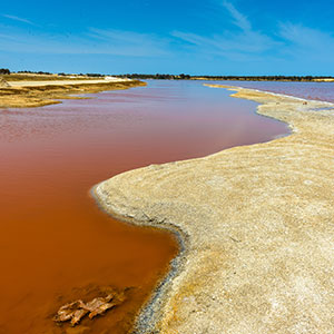 redenen vakantie Senegal, Roze Meer