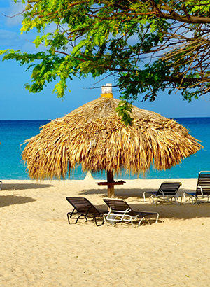 vakantie januari 2020 zon vakantie januari 2020 zon