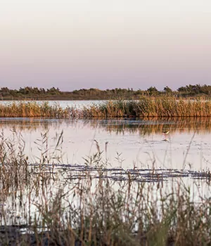 Bezienswaardigheden Corfu, prachtige natuur