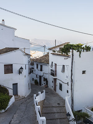 Vakantie vieren in Albir, Altea