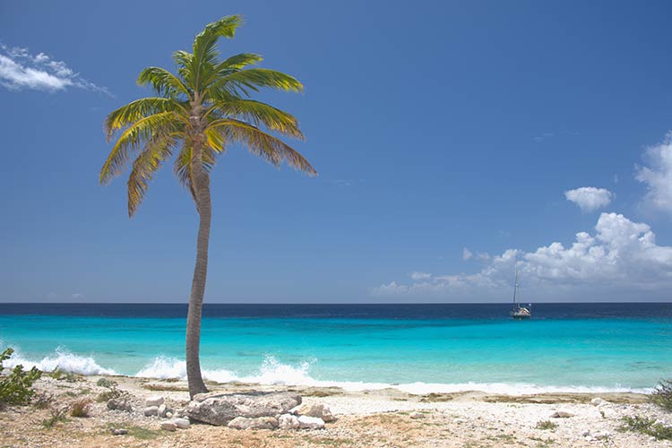 Mooiste stranden Bonaire: Pink Beach