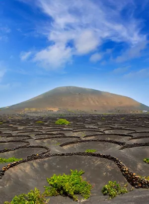 Redenen vakantie Lanzarote: La Geria