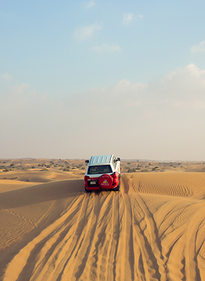 The best of Dubai, jeepsafari