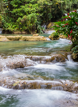 Watervallen nabij Negril, Jamaica