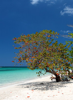 Vakantie Negril, Jamaica