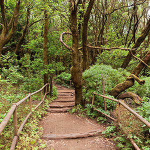 Vakantie La Gomera, natuur