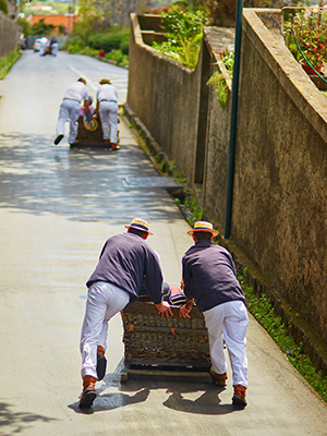 10x doen in Funchal, Toboggan