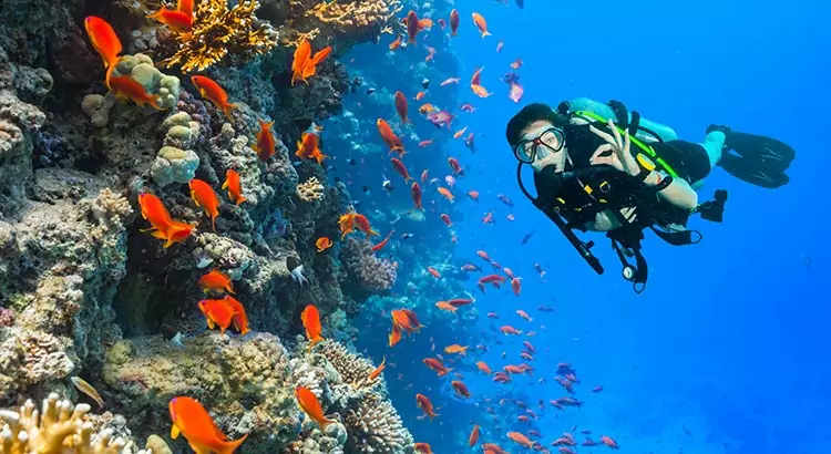 Duiken in Hurghada: waar vind je de mooiste duikspots?