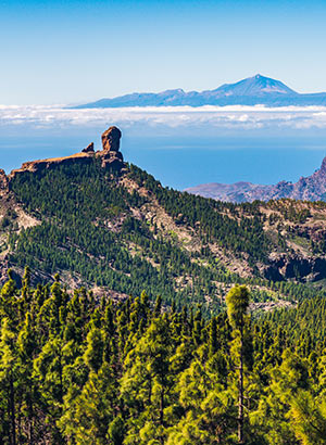 Gran Canaria met kinderen, Roque Nublo