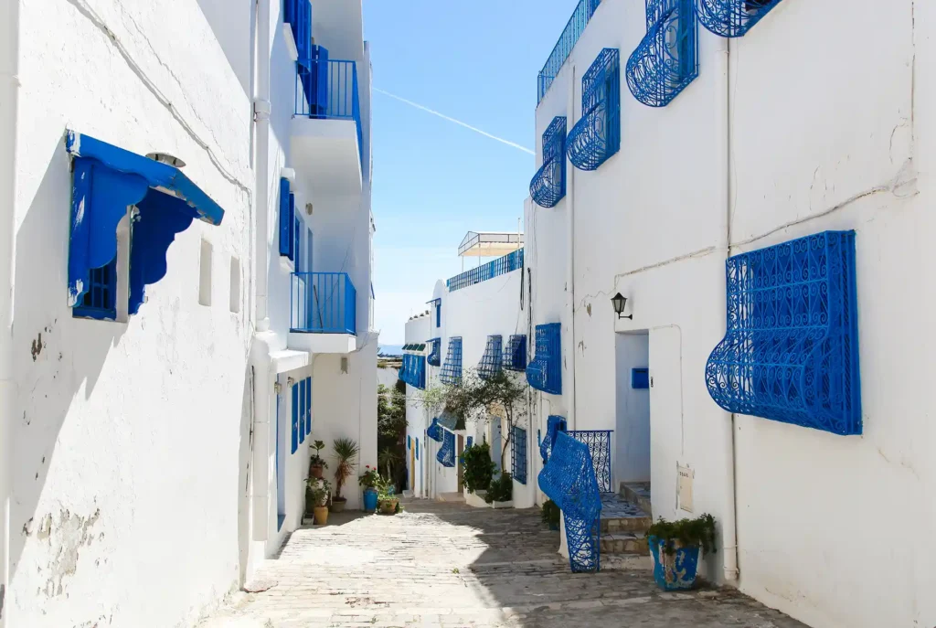 Mooiste plaatsen Tunesië; Sidi Bou Said
