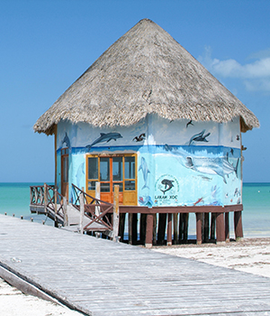 Vakantie Isla Holbox: street art