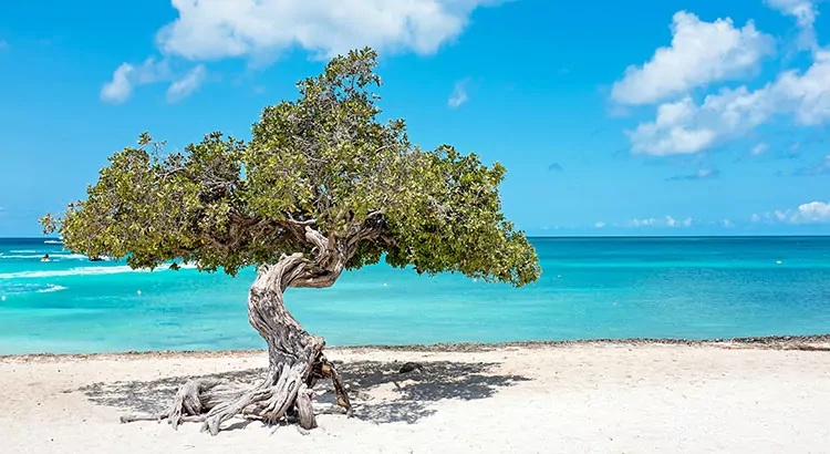 Natuur Aruba