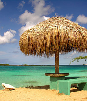 Spaanse Lagoen, Natuur Aruba