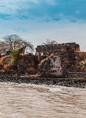 Excursies Gambia: James Island