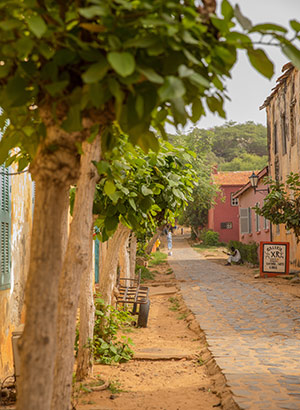 Excursies Senegal: Ile de Gorée