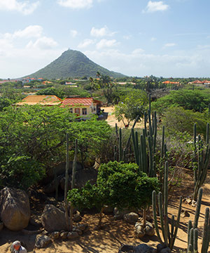 Nationaal Park Arikok, Aruba: Jamanota berg