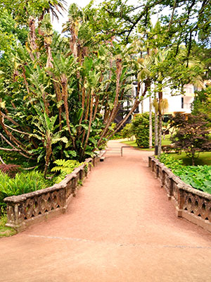 Sao Miguel, Terra Nostra Park