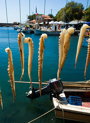 Mooiste dorpjes Lesbos, Molyvos: haven