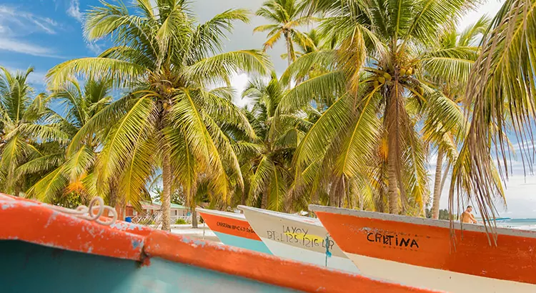 Saona, het perfecte tropische plaatje