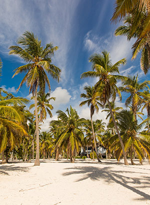 Saona, Dominicaanse Republiek: strand