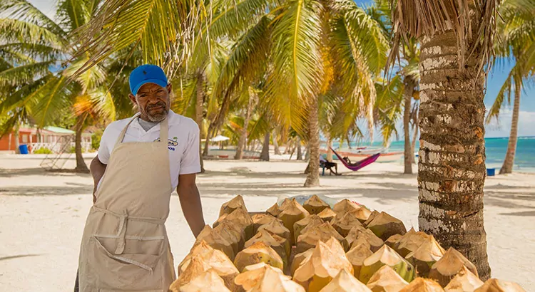 Go Dominican! De leukste excursies vanuit Punta Cana
