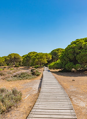 Costa de Huelva, natuurpark Donana