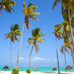 Mooiste stranden Zanzibar