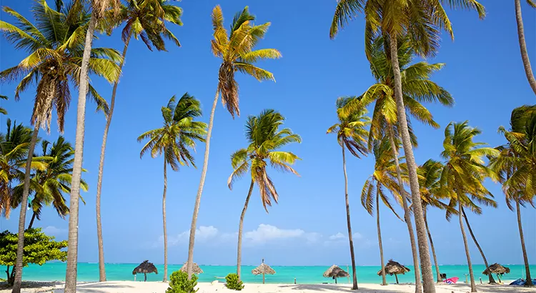 Mooiste stranden Zanzibar