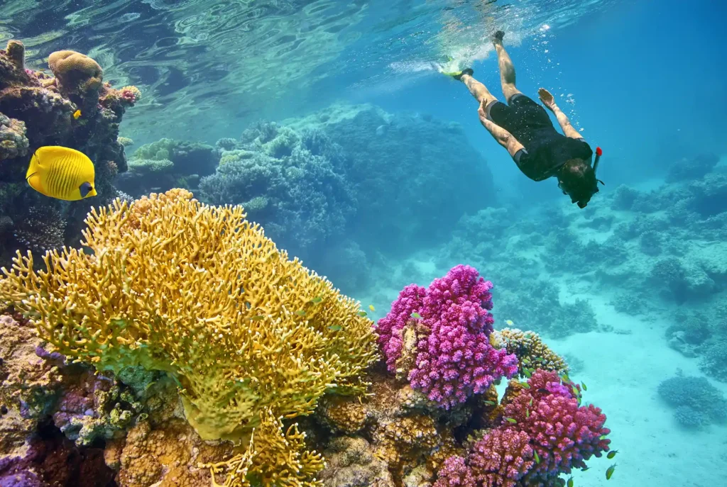 Vakantie Marsa Alam, duiken