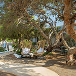 Doen op Ibiza: La Torre Ibiza