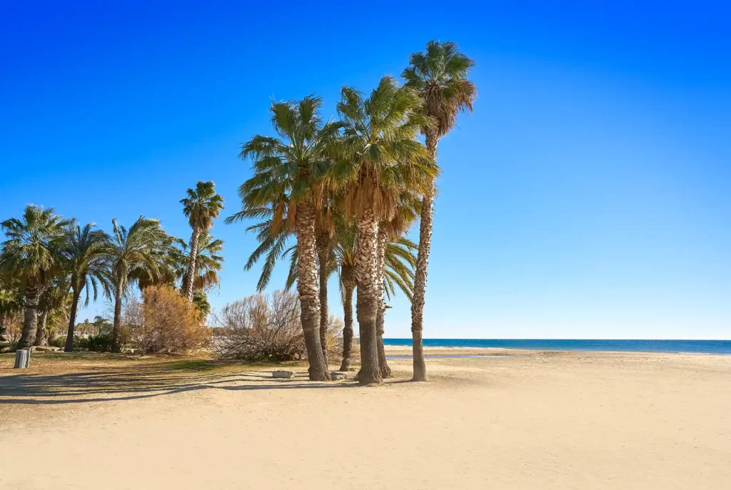 Mooiste stranden Costa Dorada: Platja del Regueral