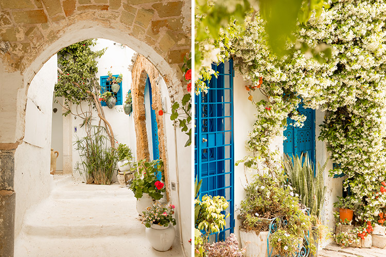 Sidi Bou Saïd, Tunesië