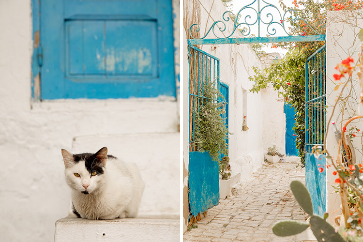 Sidi Bou Saïd, Tunesië