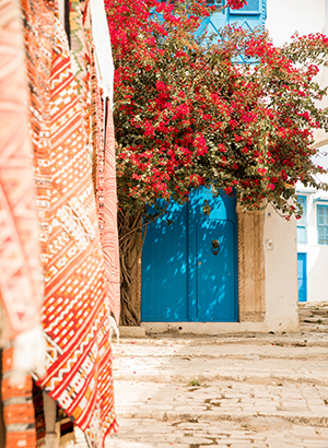 Sidi Bou Saïd, Tunesië