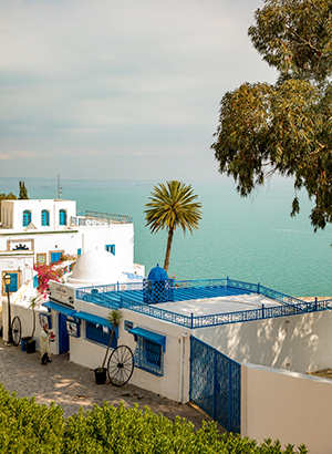 Sidi Bou Saïd, Tunesië