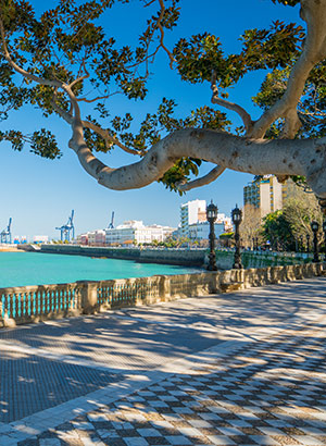 Underdog Cadiz, Andalusië