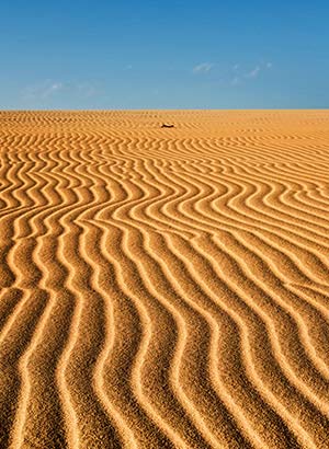 Excursies Fuerteventura: duinen