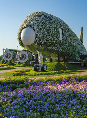 Dubai Miracle Garden: vliegtuig