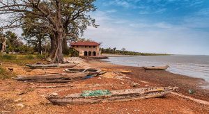 Must do! De leukste excursies in Gambia