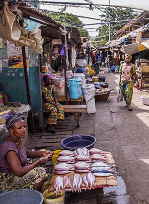 Excursies Gambia: markt in Banjul