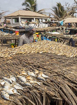 Excursies Gambia: markt Tanji