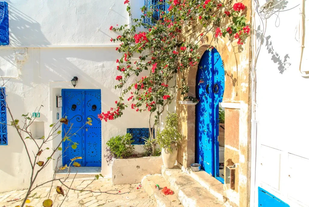 Dagtripjes & excursies Hammamet: Sidi bou Saïd